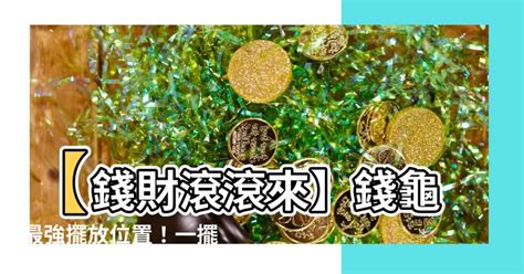 金龜擺放位置|【金錢龜擺放位置】金錢龜擺放秘訣大公開！財源滾滾來，財運一。